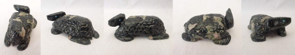 Serpentine Turtle by Karen Zunie  - Zuni Fetish - Zuni Fetish Sunshine Studio