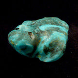 Turquoise Frog by Sarah Leekya, Deceased - Zuni Fetish