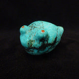 Turquoise Frog by Debra Gasper and Ray Tsethlikai - Zuni Fetish