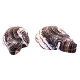 Zebra Calcite Alligator by Leland Boone and Daphne Quam