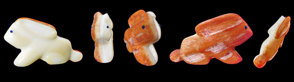 Orange Spiny Oyster Shell Rabbit by Troy Sice β Sunshine Studio