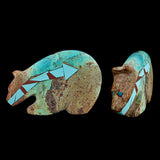 Sonoran Turquoise Medicine Bear by Donovan Laiwakete