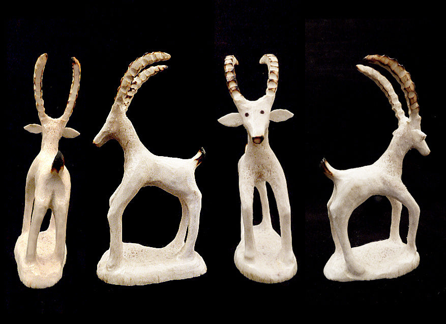 Antler Ibex by Ruben Najera