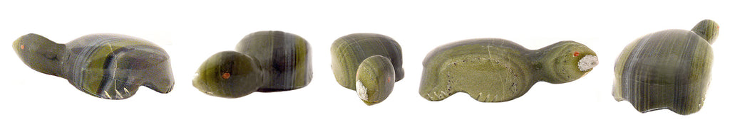 Serpentine Turtle by Leland Boone and Daphne Quam