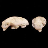 Dolomite Wolverine by Melvin Sandoval