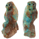 Turquoise Bird, Owl by Derrick Kaamasee