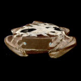 Moroccan Septarian Nodule Horned Toad by Loren Tsalabutie