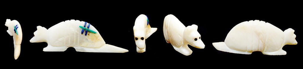 Shell Armadillo  by Clissa Martin