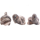 Zebra Calcite Sea Turtle by Leland Boone and Daphne Quam