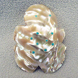 Clam Shell Frog by Lena Boone, Deceased