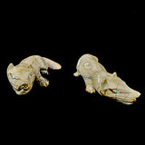 Picasso Marble Wolf by Lance Cheama