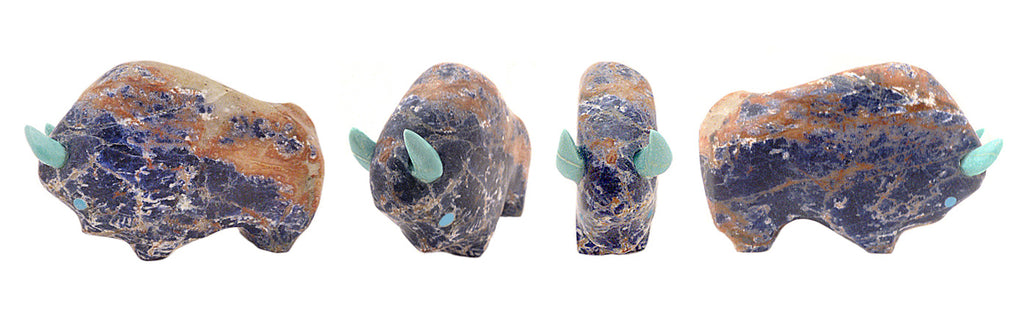 Sodalite Buffalo by Lynn Quam