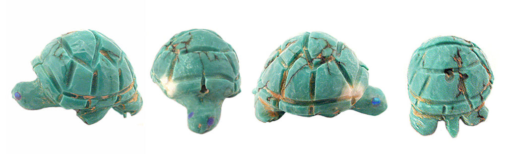 Turquoise Turtle by Jonas Hustito