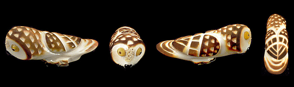 Antler Bird, Elf Owl by Troy Sice