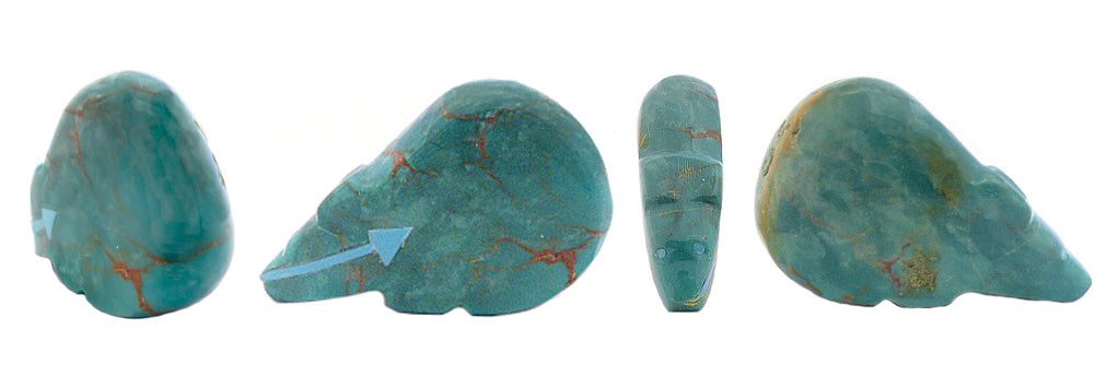 Turquoise Medicine Bear by Abby Quam and Clayton Panteah