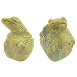 Serpentine Lizard by Tony Mackel