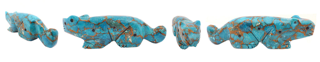 Turquoise Mountain Lion by David Chavez