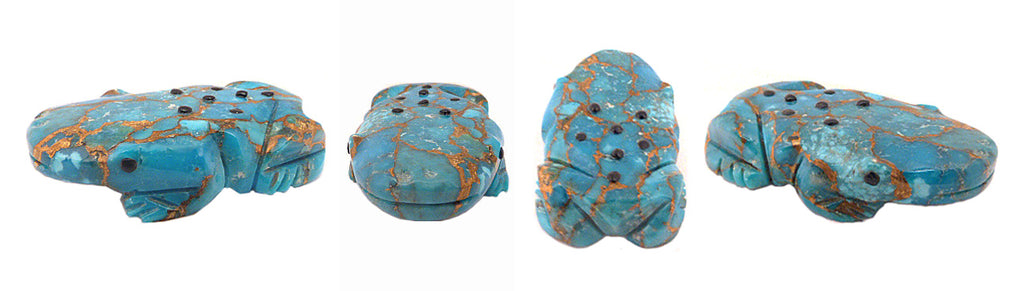 Turquoise Frog by David Chavez
