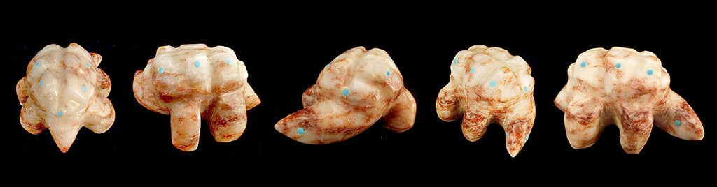 Alabaster Sea Turtle by Gilbert Lonjose