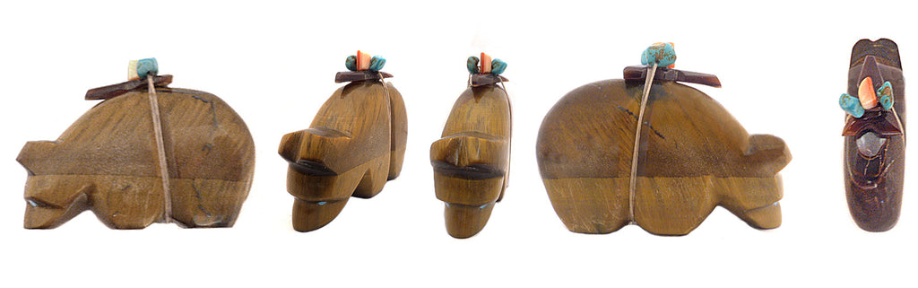 Tiger Eye Medicine Bear by Michael Mahooty