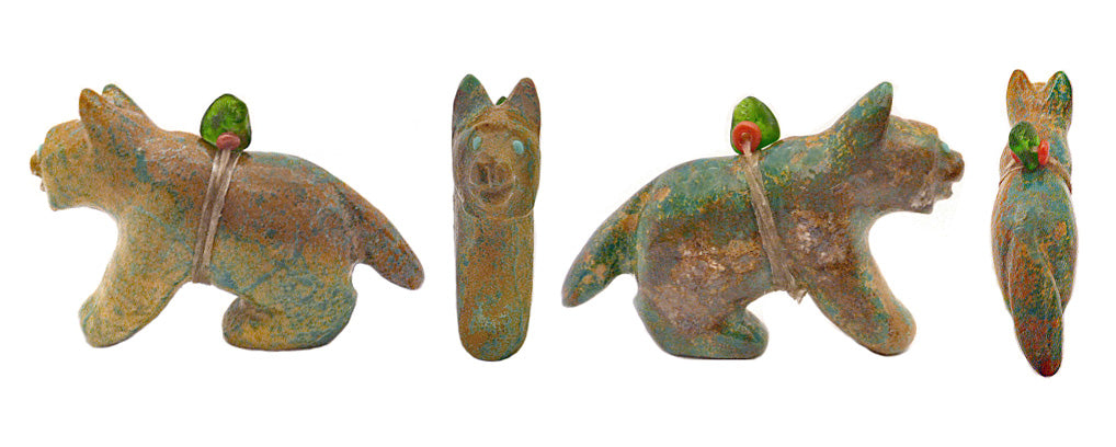 Turquoise Fox by Sherdine Tsatte