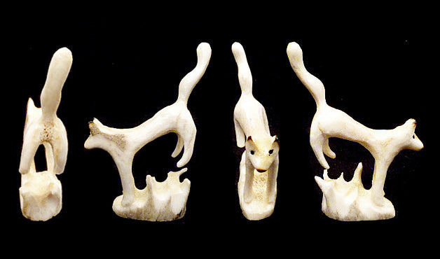 Antler Mountain Lion by Ruben Najera