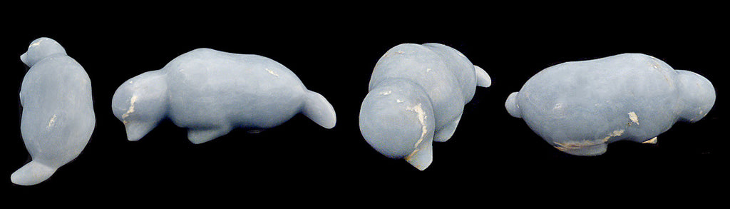 Angelite Mole by Melvin Sandoval