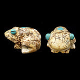 Wild Horse Rock Frog by Andres Lementino