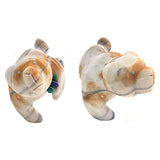 Picasso Marble Medicine Bear by Loren Tsalabutie