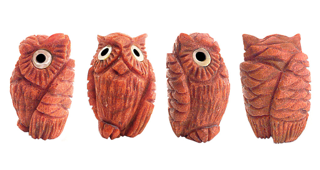 Apple Coral Bird, Horned Owl by Kateri Sanchez