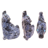 Sodalite Howling Wolf by Cody Nastacio