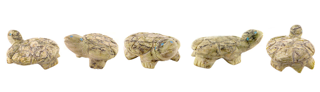 Serpentine Turtle by Dinah Gasper