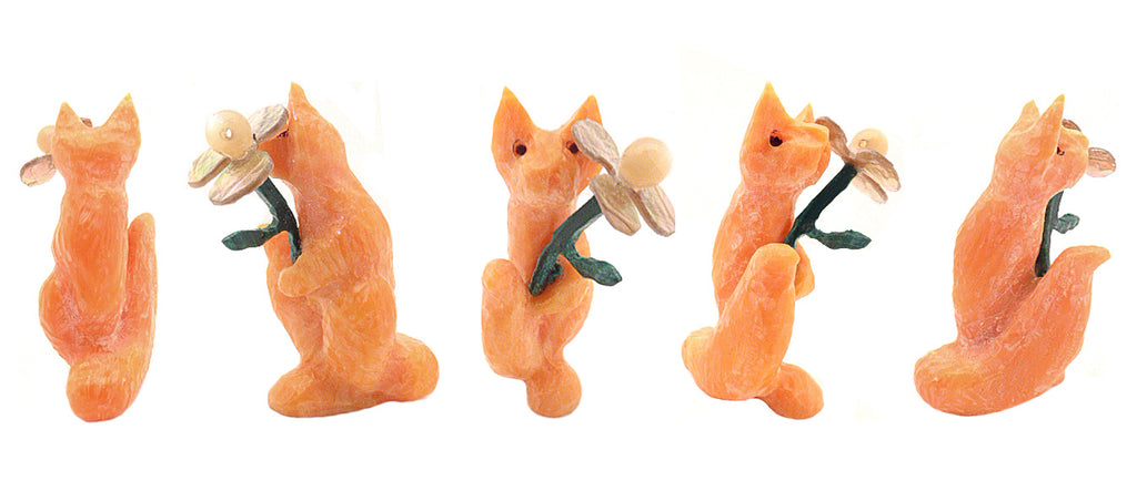 Coral Fox by Ruben Najera