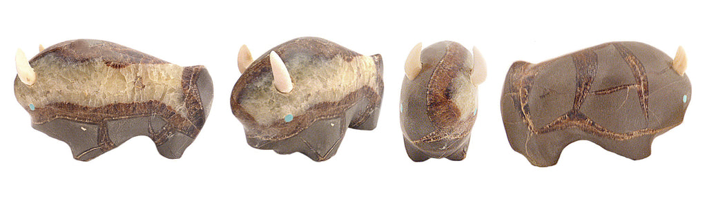 Septarian Nodule Buffalo by Lynn Quam