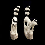 Antler Raccoon  by Ruben Najera