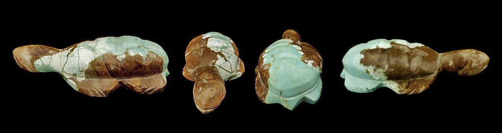 Turquoise Turtle by Leland Boone and Daphne Quam