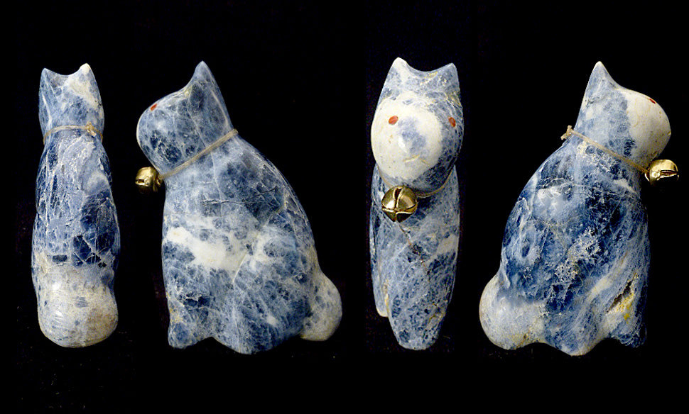 Sodalite Cat by Leland Boone and Daphne Quam