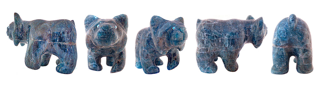 Apatite Bobcat by Loren Tsalabutie