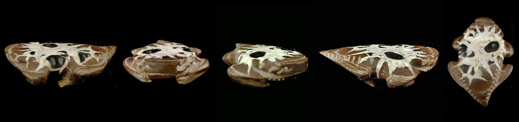 Moroccan Septarian Nodule Horned Toad by Loren Tsalabutie - Zuni Fetish Sunshine Studio