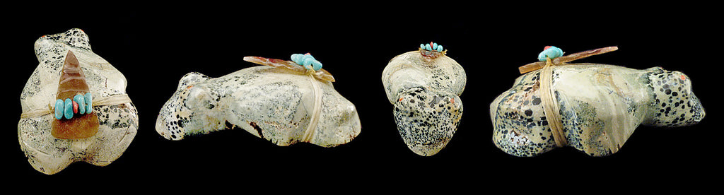 Serpentine Frog by Evalena Boone