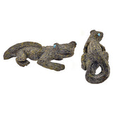 Serpentine Lizard by Bernie Laselute