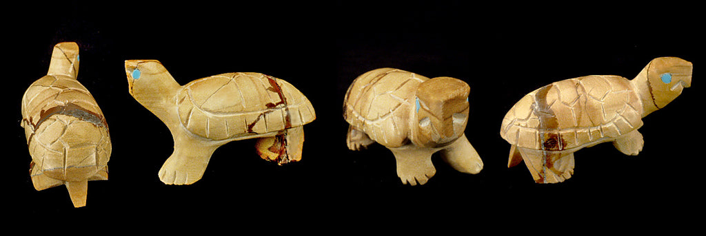 Picture Jasper Turtle by Yancy Robert Halusewa,Deceased