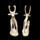 Antler Ibex by Ruben Najera