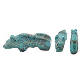 Turquoise Mountain Lion by Debra Gasper