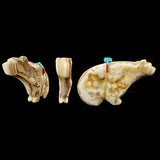 Onyx Medicine Bear by Melvin Sandoval