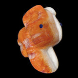Orange Spiny Oyster Shell Rabbit by Troy Sice