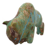 Turquoise Buffalo by Stewart Quandelacy