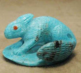 Turquoise* Squirrel by Fabian Cheama, Deceased