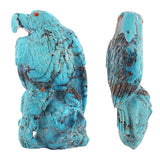 Turquoise Bird, Eagle With Fish by Derrick Kaamasee