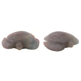 Fluorite Sea Turtle by Brion Hattie